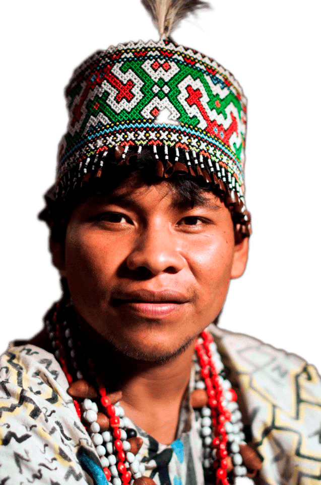 Ayahuasca Infographic